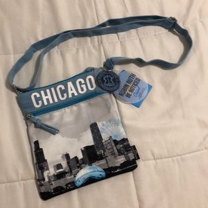 Robin Ruth Chicago bag